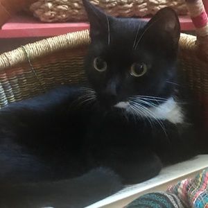 Meet your Posher, Elizabeth